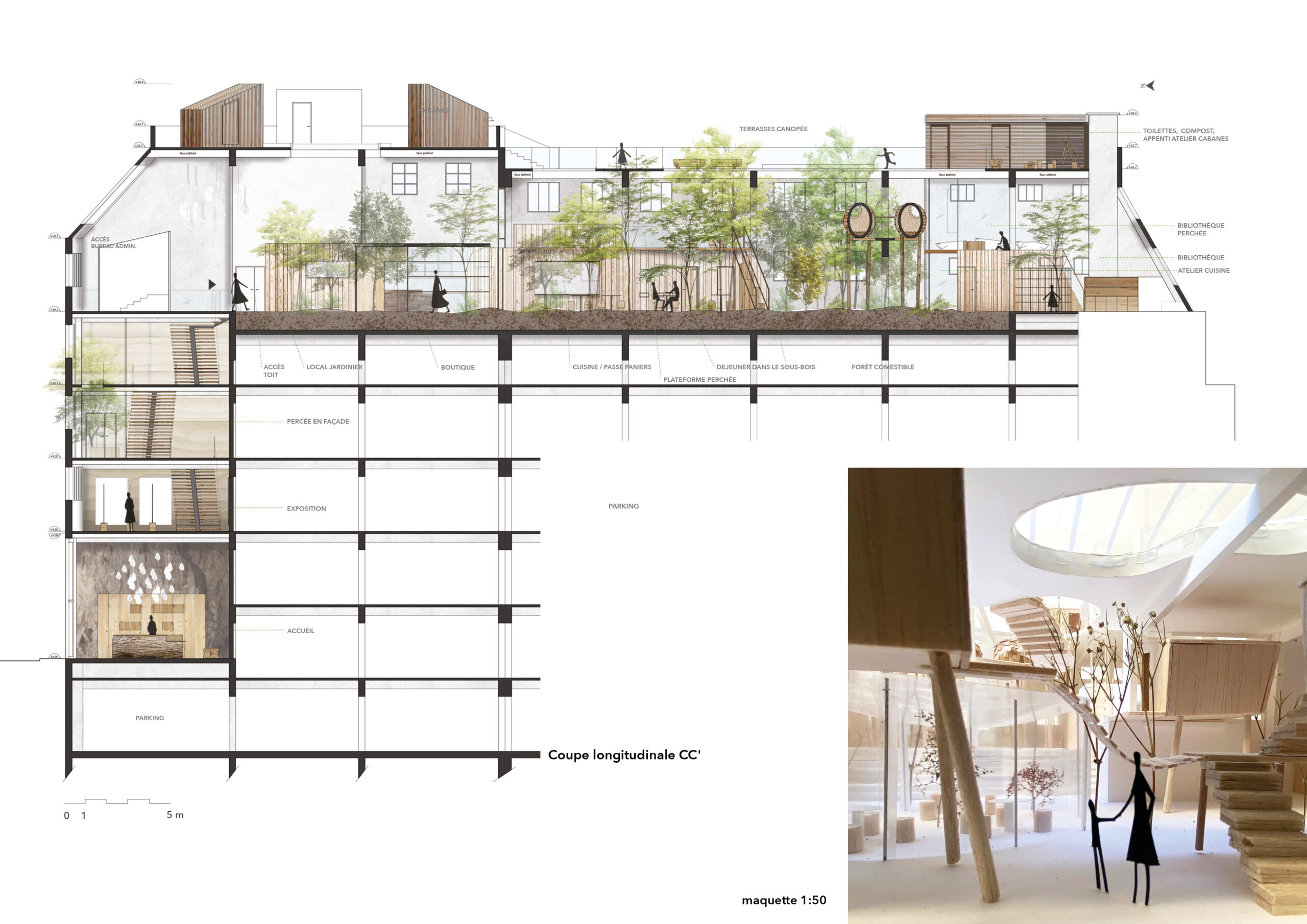 Architecte d'intérieur Paris - coupe longitudinale