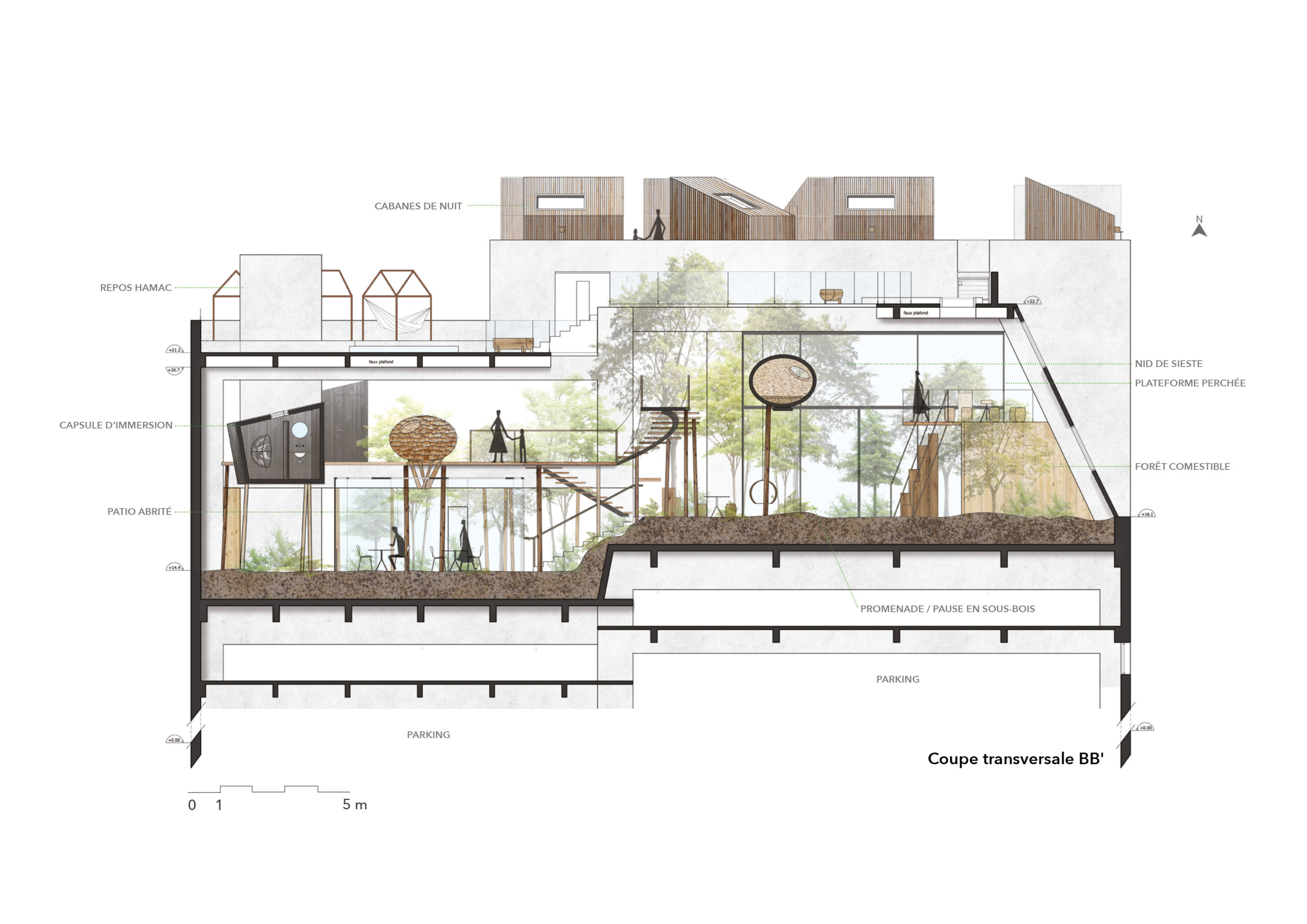 Architecte d'intérieur Paris - coupe transversale