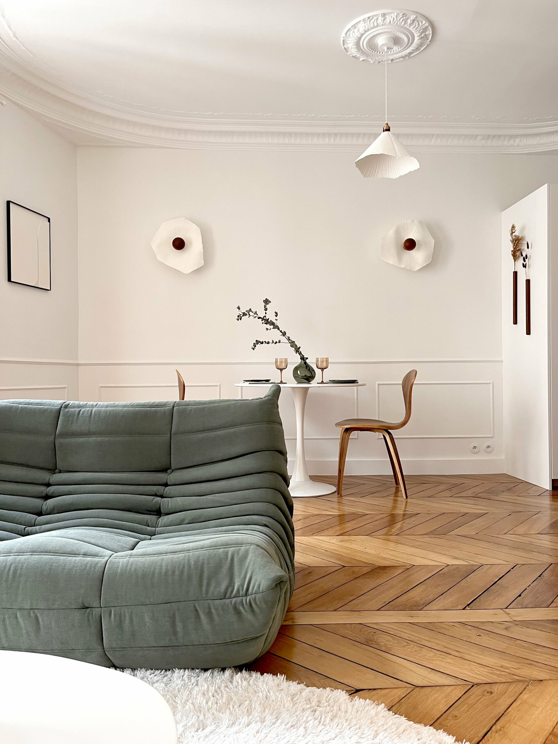 salon salle a manger haussmannien