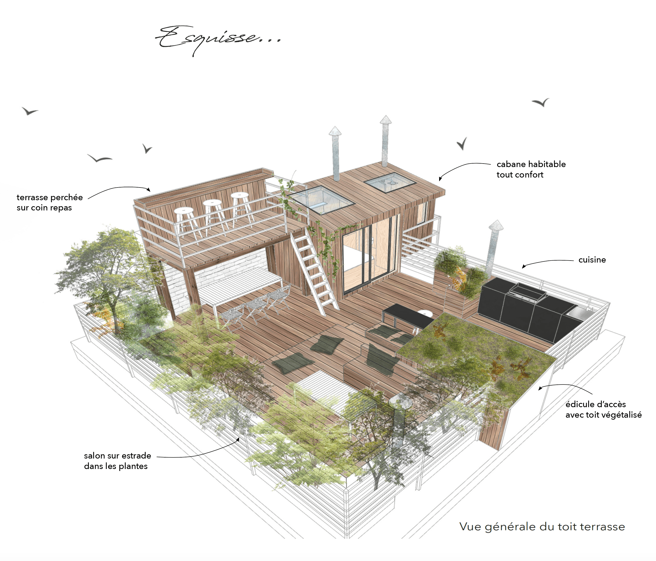 dessin toit terrasse ; toit terrasse aménagement ; cabane contemporaine
