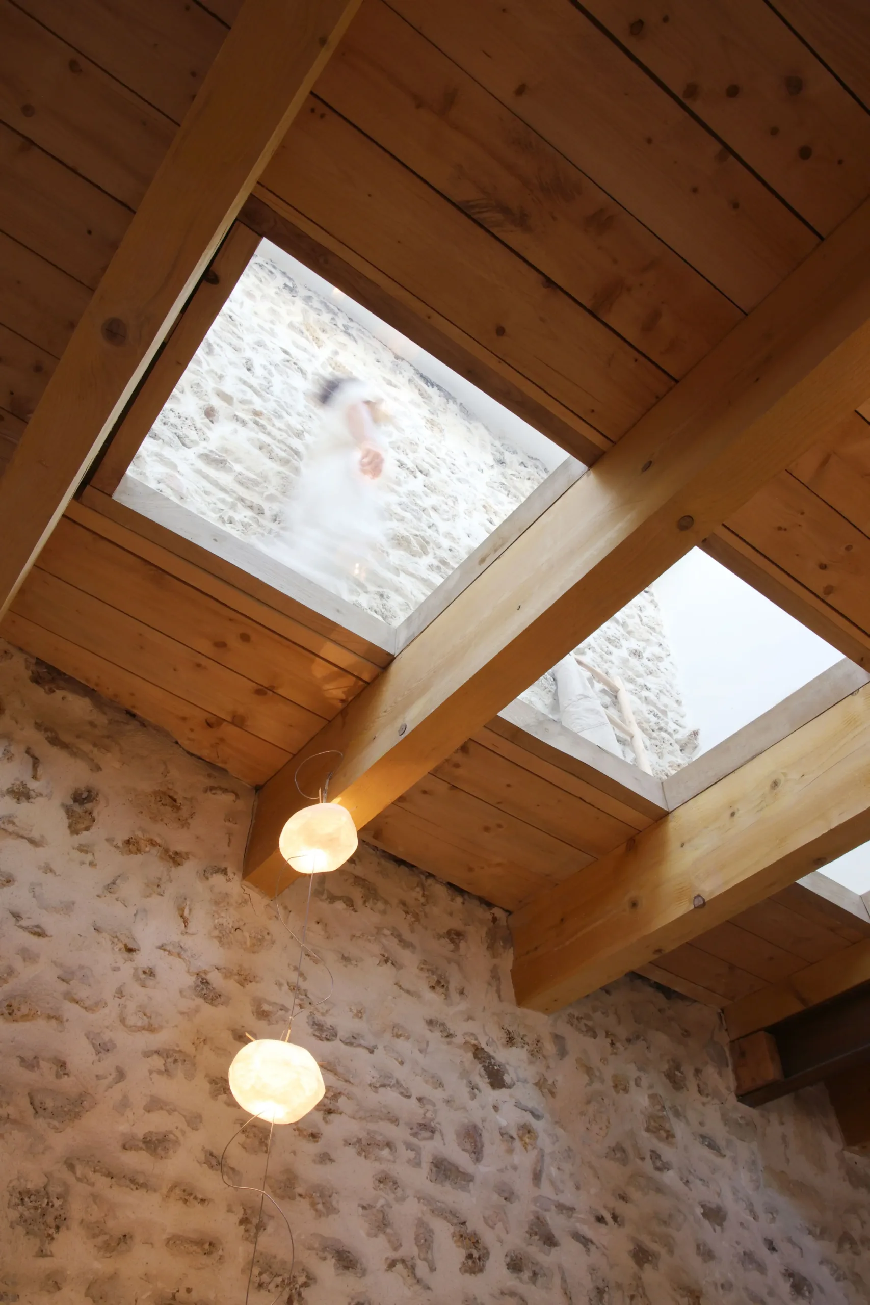 plafond verre - poutres apparentes - rénovation grange